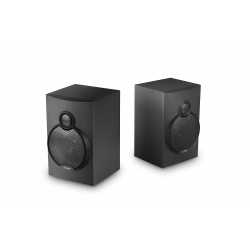 Parlante FyD Fenda A521X Black 2.1