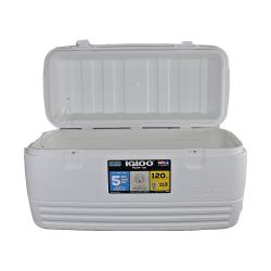 Conservadora igloo polar 120 qt ( 113 lts ) 44577 blanca