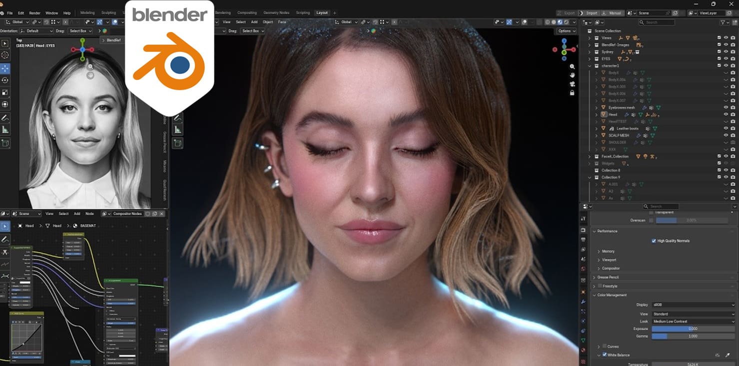 Blender tiene un puntaje de 72 sobre 100 en esta categoría. Nivel: Funcional.