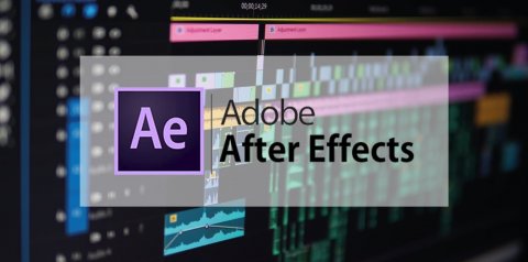 After Effects tiene un puntaje de 65 sobre 100 en esta categoría. Nivel: Funcional.