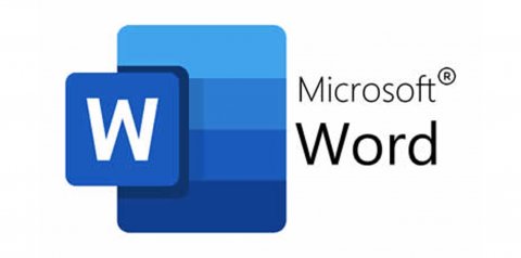 Microsoft Word tiene un puntaje de 90 sobre 100 en esta categoría. Nivel: Excelente.