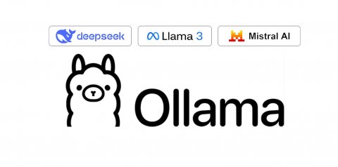 Ollama tiene un puntaje de 52 sobre 100 en esta categoría. Nivel: Uso casual.
