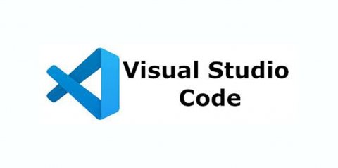 VS Code tiene un puntaje de 90 sobre 100 en esta categoría. Nivel: Excelente.