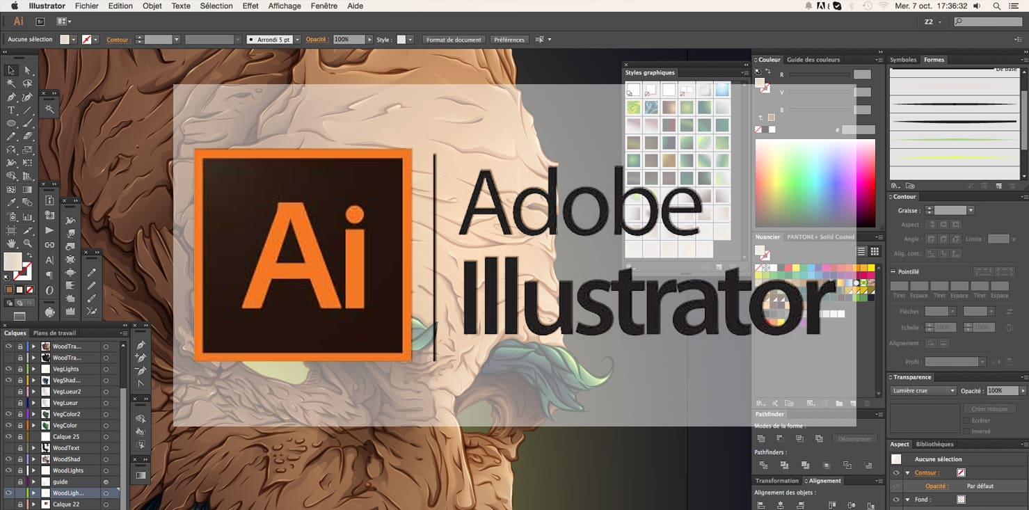 Illustrator tiene un puntaje de 68 sobre 100 en esta categoría. Nivel: Funcional.