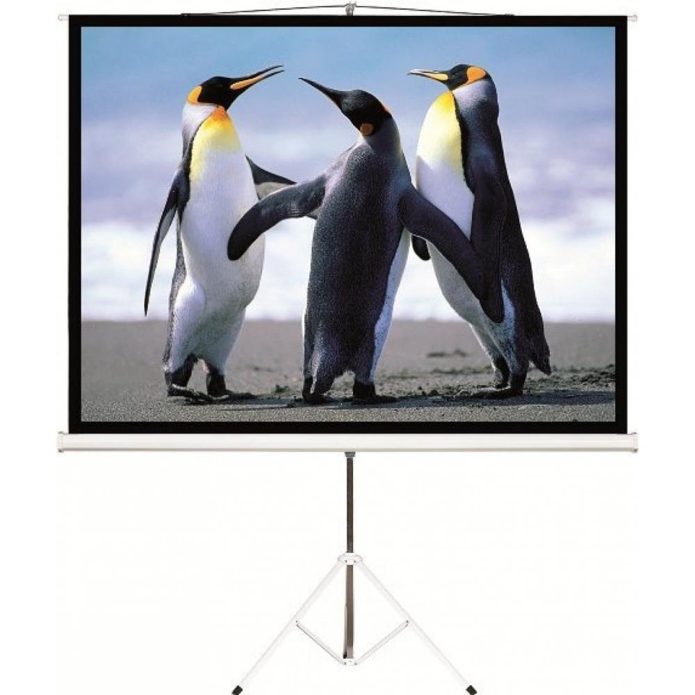 Pantalla Intelaid para proyector 100 Pulgadas Tripode IT-TPS100