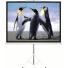 Pantalla Intelaid para proyector 100 Pulgadas Tripode IT-TPS100