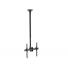 SOPORTE INTELAID DE TECHO TELESCOPICO PARA TV 32-55 IT-CB44