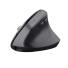 MOUSE GAMER TRUST BAYO + ERGO WIRELESS BLACK