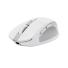 MOUSE TRUST OZAA COMPACT WIRELESS WHITE