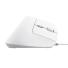 MOUSE GAMER TRUST BAYO II ERGO WIRED WHITE