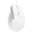 MOUSE GAMER TRUST BAYO II ERGO WIRED WHITE