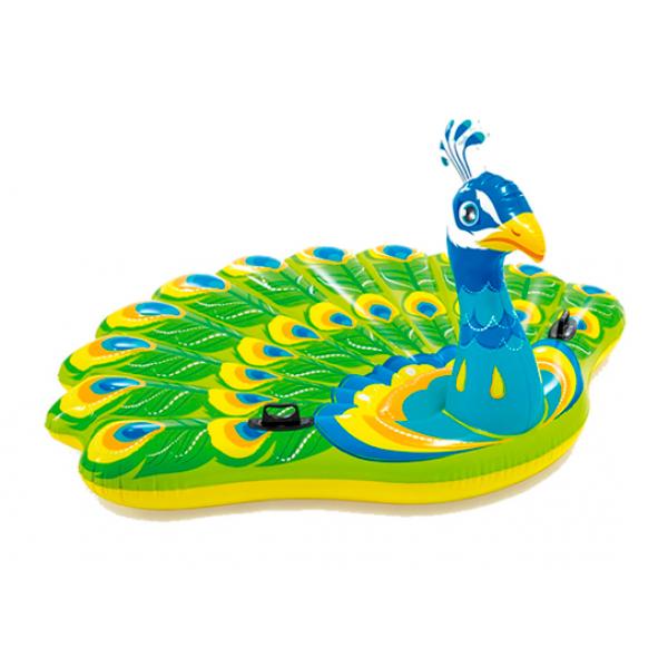 Intex Pavo Real