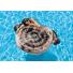 Combo colchoneta INTEX combo animal perrito + gatito + pavo real + red de voley 