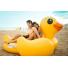 Colchoneta Inflable Mega Pato 221 x 221 x 122 cm 23975/4