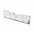 Memoria RAM NETAC Shadow II DDR5 4800 8GB C40 White compatible con AMD