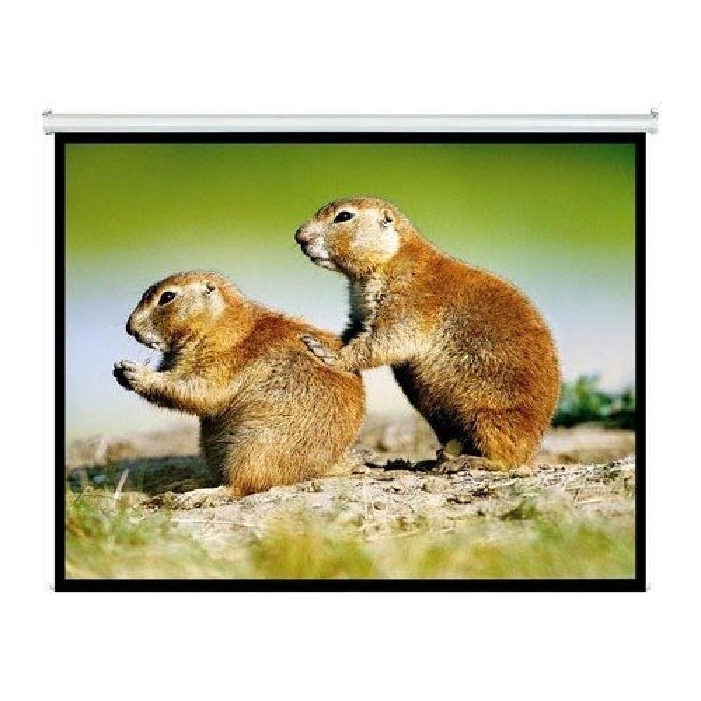 PANTALLA INTELAID PROYECTOR 120 PULGADAS COLGANTE IT-SPS120