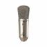 Micrófono Condensador Behringer B1 De Diafragma Grande Oro