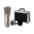 Micrófono Condensador Behringer B1 De Diafragma Grande Oro