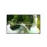 PANT PROF LG PANTALLA UHD SIGNAGE WEBOS 65
