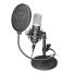 TRUST Emita Microfono Stream GXT 252 con Maletin