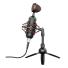 Micrófono Trust Gxt 244 Buzz Condensador Cardioide Usb