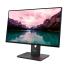 Monitor lenovo thinkvision t24-40 23.8 full hd