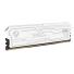Memoria RAM Netac Shadow III DDR5 6000MHz 32GB (2x16GB) Blanca