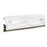 Memoria RAM Netac Shadow III DDR5 6400 16GB C32 White