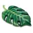 Colchoneta Inflable Intex Hoja de Palmera 213x142 cm Vinilo