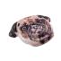 Colchoneta Inflable Intex Perro Pug 173x130cm