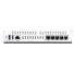 Firewall Fortinet FortiGate 40F NGFW SD-WAN + FortiCare 12 meses