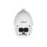 Cámara IP PTZ Dahua DH-SD6AL245GB-HNV Exterior Profesional